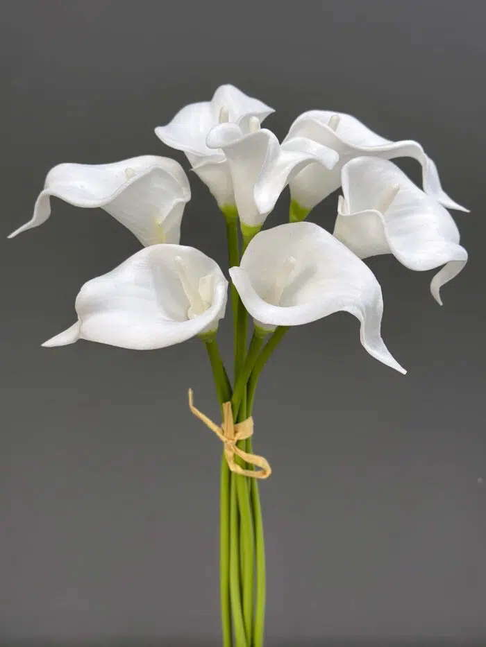 7 Pcs Calla Bundle 1145-12