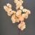 MA1617-22 Peach