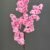 MA1617-22 Pink
