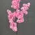 MA1617-22 Pink