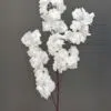 1617-22WH (1)
