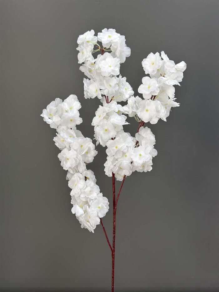 Cherry Blossom 1617-22