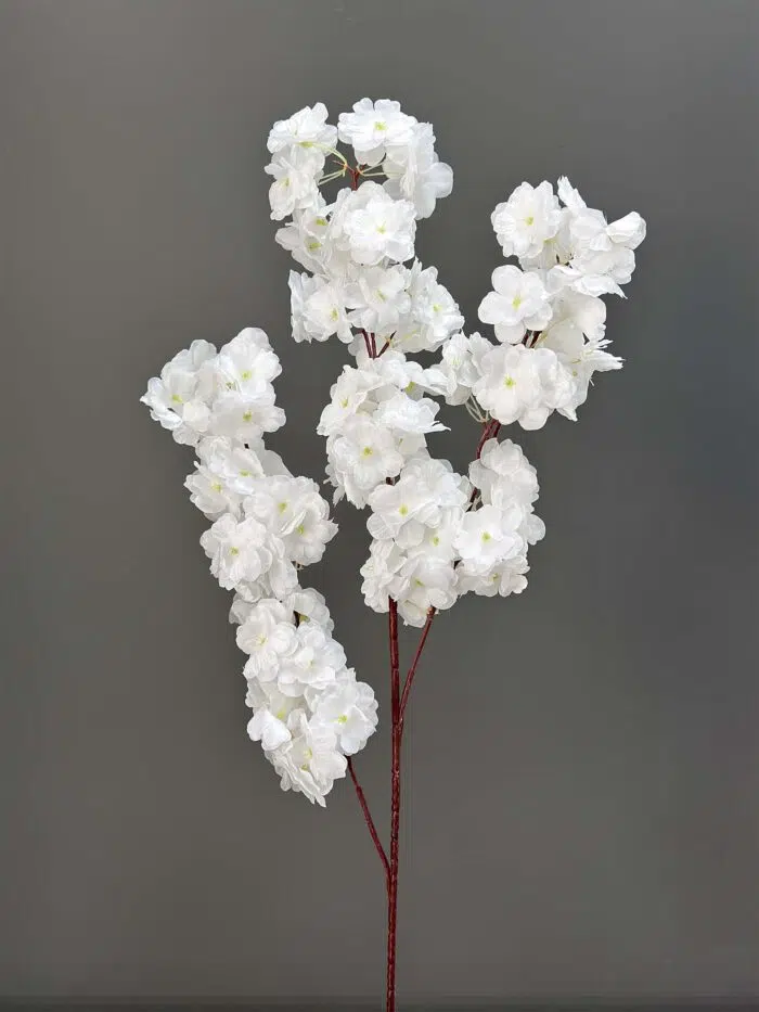 Cherry Blossom 1617-22