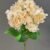 MA1692-4 Peach