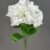 MA1692-4 White 7