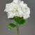 MA1692-4 White 7