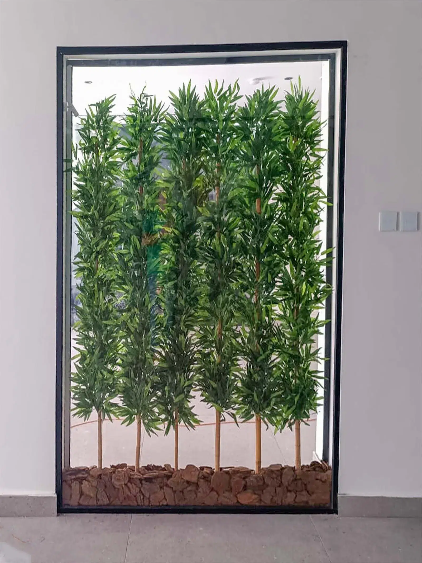 Bambu-1 Experience the charm of the Bambu Plant in your space. Ideal for any decor, this exquisite plant will brighten up your living area. Shop now!