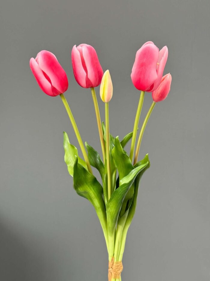 5pcs tulip bundle 1437-13