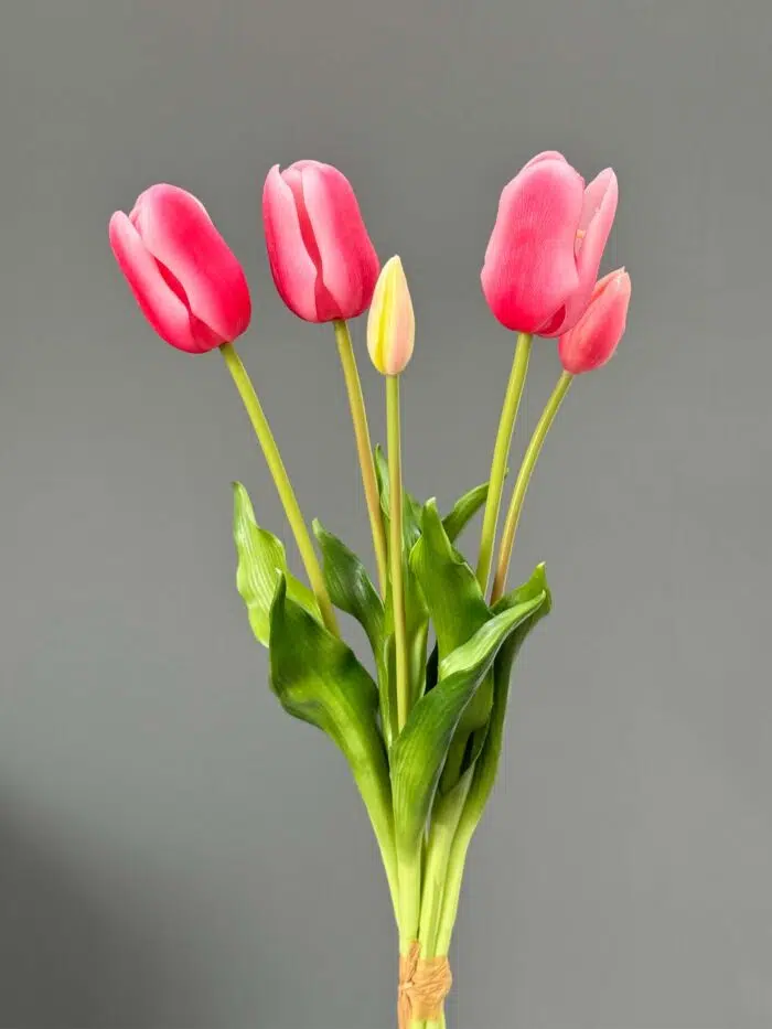 5pcs tulip bundle 1437-13