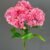 MA1893-4 Pink 41