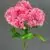 MA1893-4 Pink 41