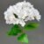 MA1893-4 White