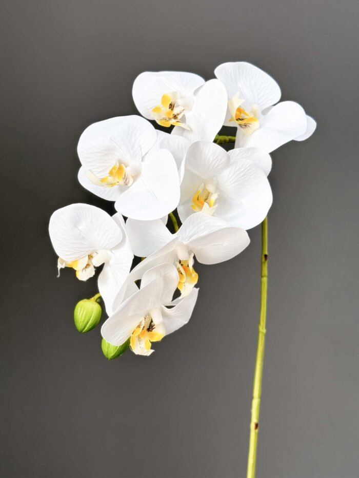 7F Real Touch Orchid 2524-77