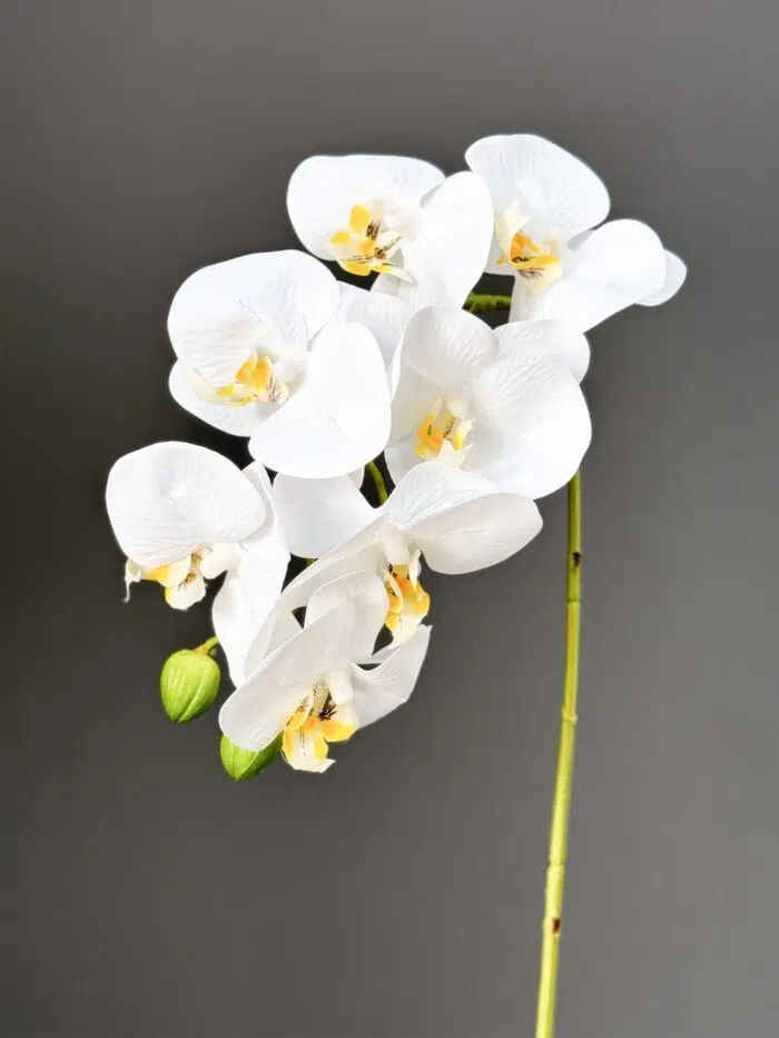 7F Real Touch Orchid 2524-77