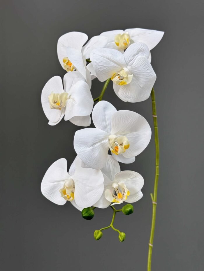 8F Real Touch Orchid 2524-80