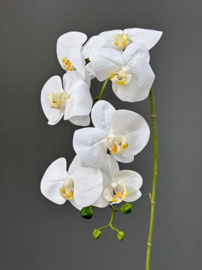 8F Real Touch Orchid 2524-80