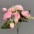 AK-6015 Pink