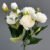 AK-6015-White