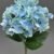 MA1893-4 Blue