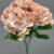 MA1893-4 Peach Purple