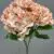MA1893-4 Peach Purple
