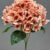 MA1893-4 Dark Peach 80