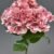MA1893-4 Fuchsia Pink