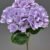 MA1893-4 Navy Purple