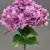 MA1893-4 Purple