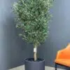 9130 Elevate your interior with our gorgeous Artificial Olive Tree. Enjoy the charm of nature in your home or workspace all year round!