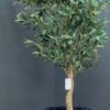 Elevate your interior with our gorgeous Artificial Olive Tree. Enjoy the charm of nature in your home or workspace all year round!
