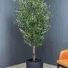 9132(1) Elevate your interior with our gorgeous Artificial Olive Tree. Enjoy the charm of nature in your home or workspace all year round!
