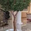 9274(2) Elevate your interior with our gorgeous Artificial Olive Tree. Enjoy the charm of nature in your home or workspace all year round!