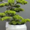 9356(2) Artificial Bonsai Tree