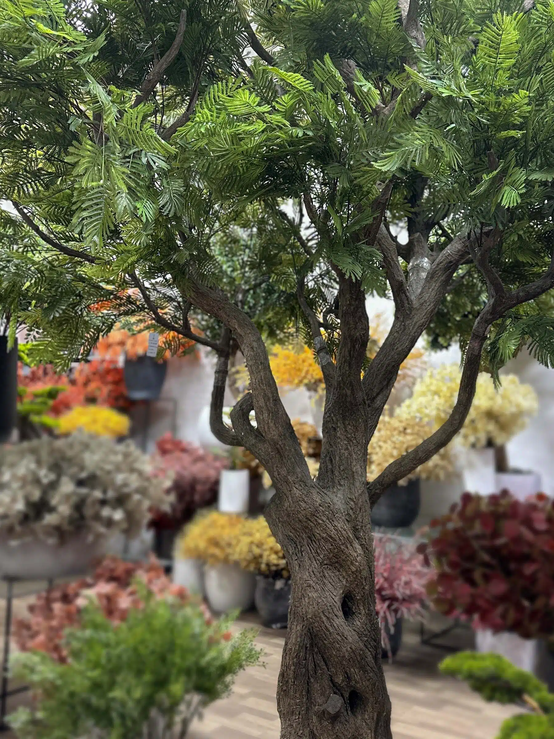 Create a natural atmosphere indoors with the lifelike Artificial Ghaf Tree. Its realistic leaves and tall stature make it a captivating focal point! 🌳