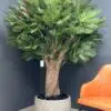 9736(1) Transform any room with our stunning Artificial Ghaf Tree with Dense Green Foliage. It brings a touch of nature indoors. Order yours today!