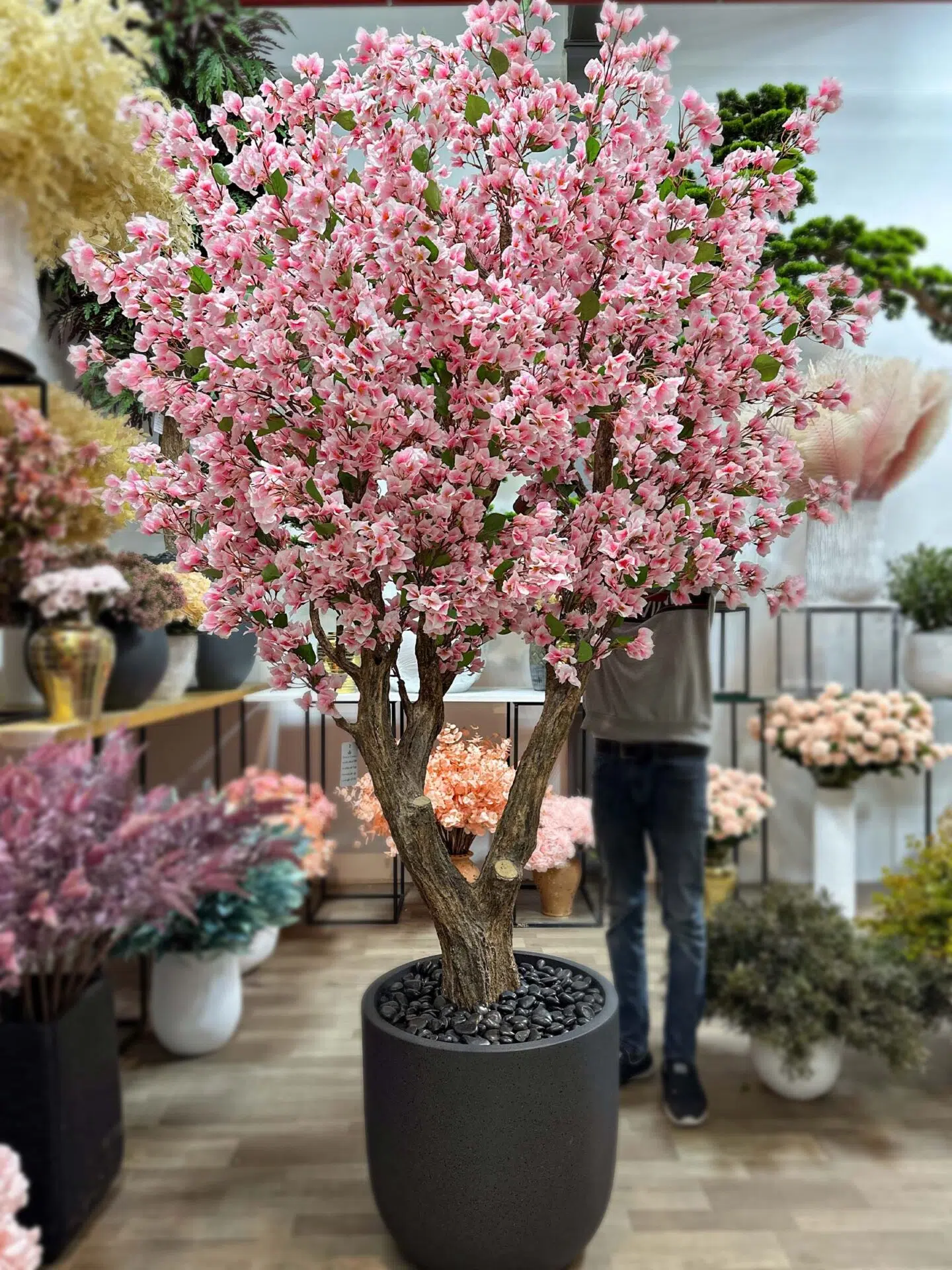 Brighten your space with our stunning Bougainvillea Tree, standing 250cm tall and full of vibrant colors! Transform your decor today!