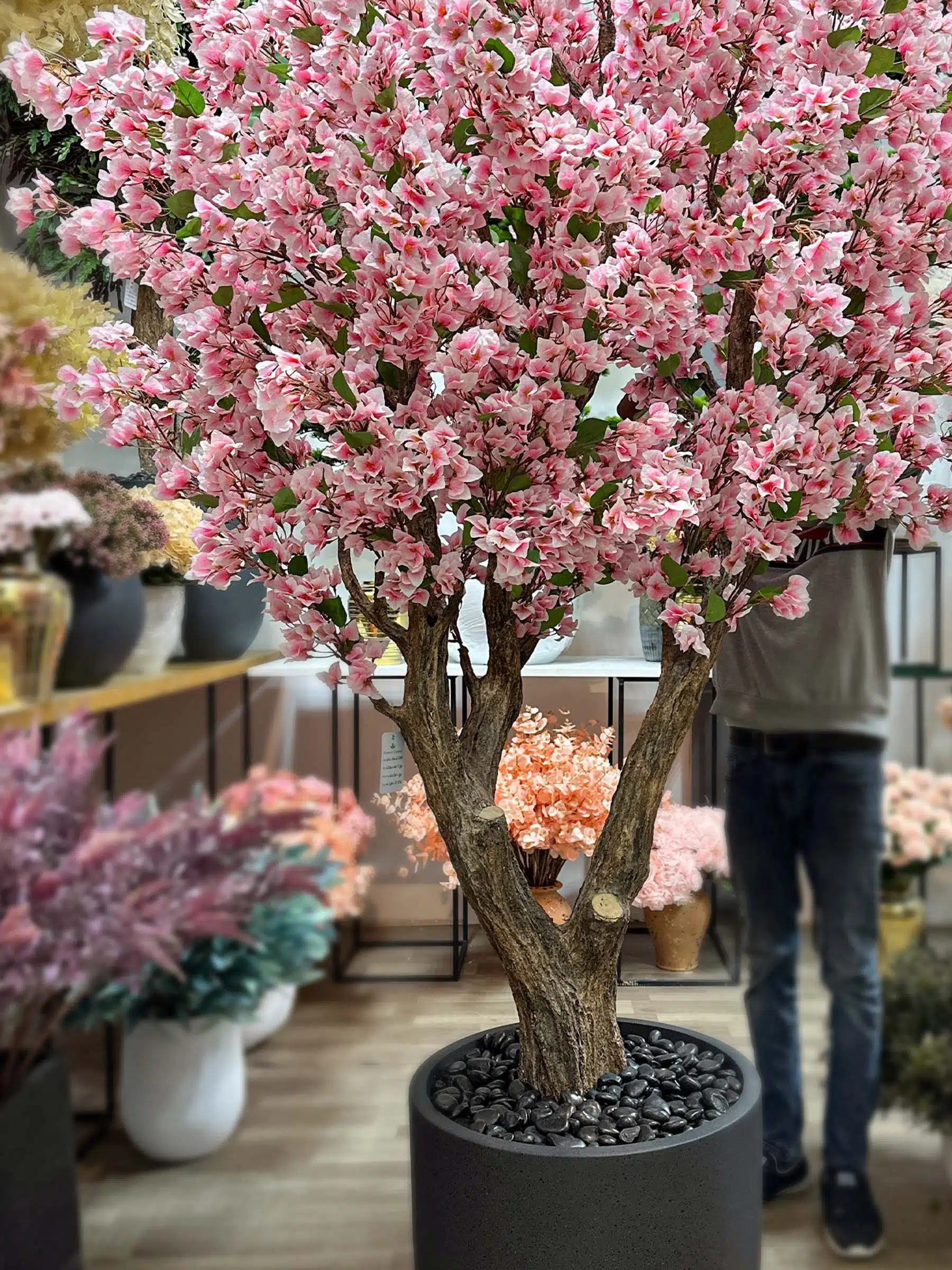 Brighten your space with our stunning Bougainvillea Tree, standing 250cm tall and full of vibrant colors! Transform your decor today!