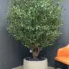 9443(1) Create a serene atmosphere with our Artificial Olive Tree. Its impressive height and width bring Mediterranean charm without maintenance demands. 🏡