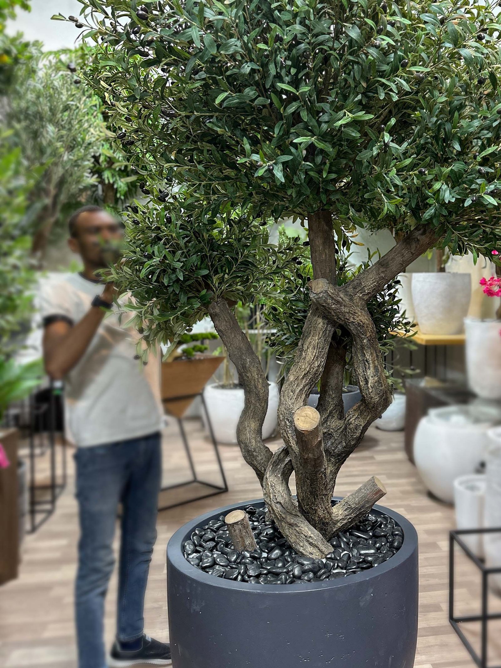 9501(2) Artificial Olive Tree