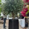 Artificial Olive Tree