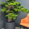 9606(1) Elevate your space with this stunning Artificial Bonsai Tree! Its realistic design and stylish pot will bring everlasting beauty to any setting.