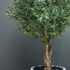 9610(2) Elevate your interior with our gorgeous Artificial Olive Tree. Enjoy the charm of nature in your home or workspace all year round!