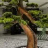 9611(2) Transform your space with the stunning Artificial Bonsai Tree. Standing tall at 175cm, this elegant decor requires no maintenance! 🌳