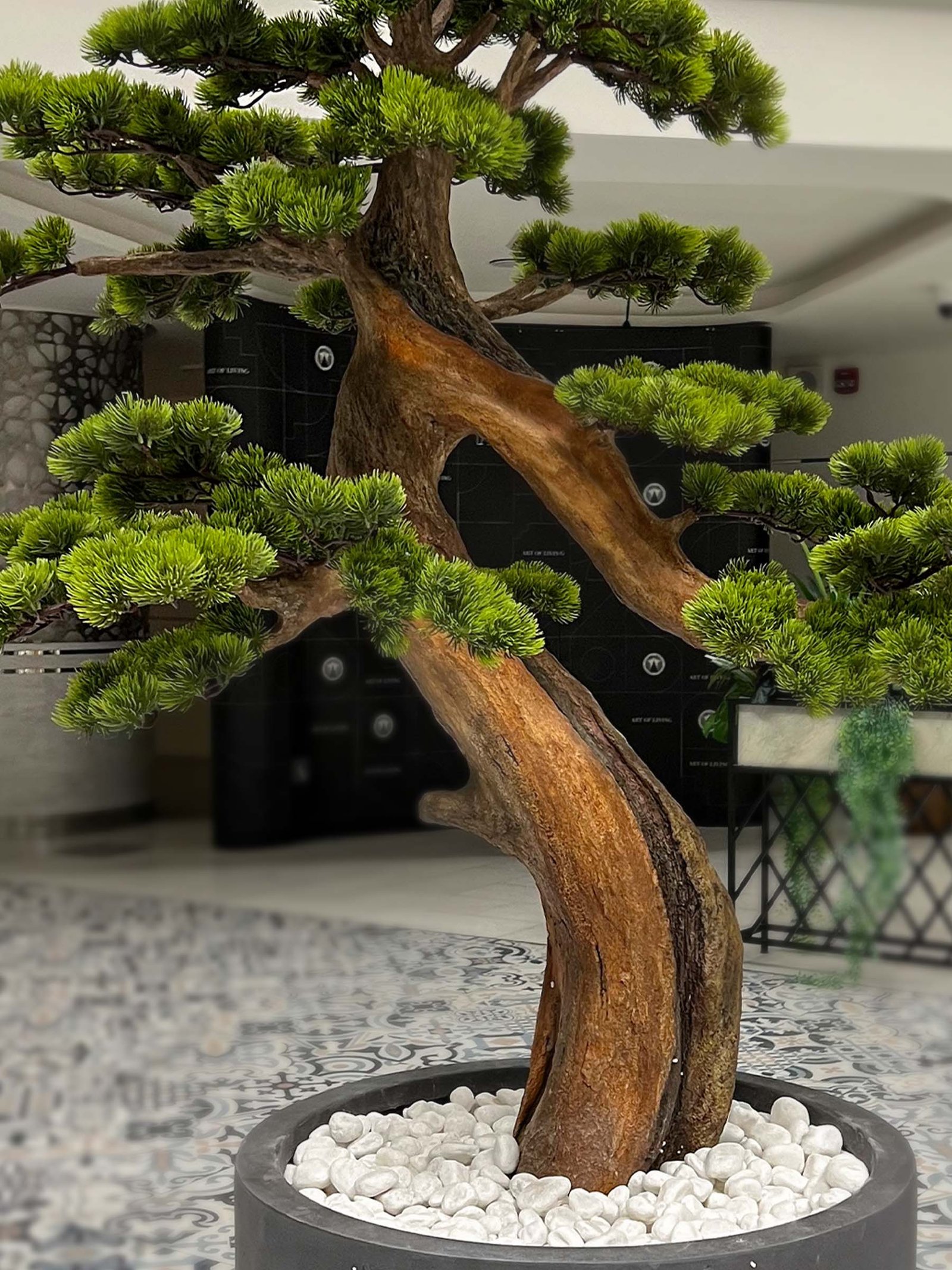9611(2) Transform your space with the stunning Artificial Bonsai Tree. Standing tall at 175cm, this elegant decor requires no maintenance! 🌳