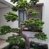 9618(2) Elevate your space with this stunning Artificial Bonsai Tree! Its realistic design and stylish pot will bring everlasting beauty to any setting.