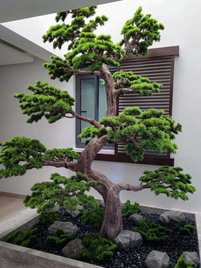 Bonsai Tree 9618