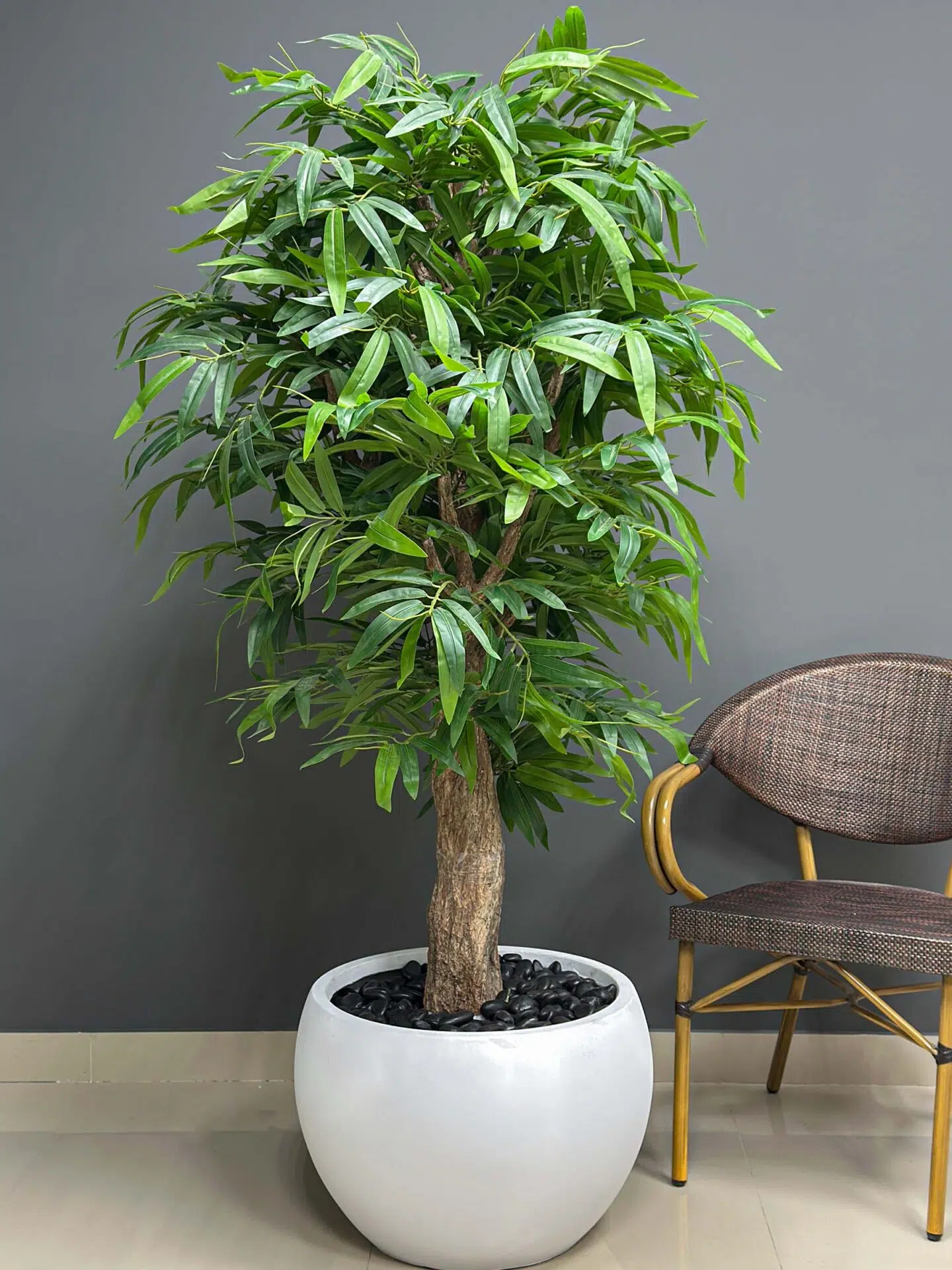 Elevate your home or office décor with the lifelike Bamboo Tree. Its 170cm height and lush spread create a refreshing ambiance. Buy today! 🌿