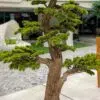 Elevate your space with this stunning Artificial Bonsai Tree! Its realistic design and stylish pot will bring everlasting beauty to any setting.
