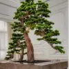 9631(1) Elevate your space with this stunning Artificial Bonsai Tree! Its realistic design and stylish pot will bring everlasting beauty to any setting.
